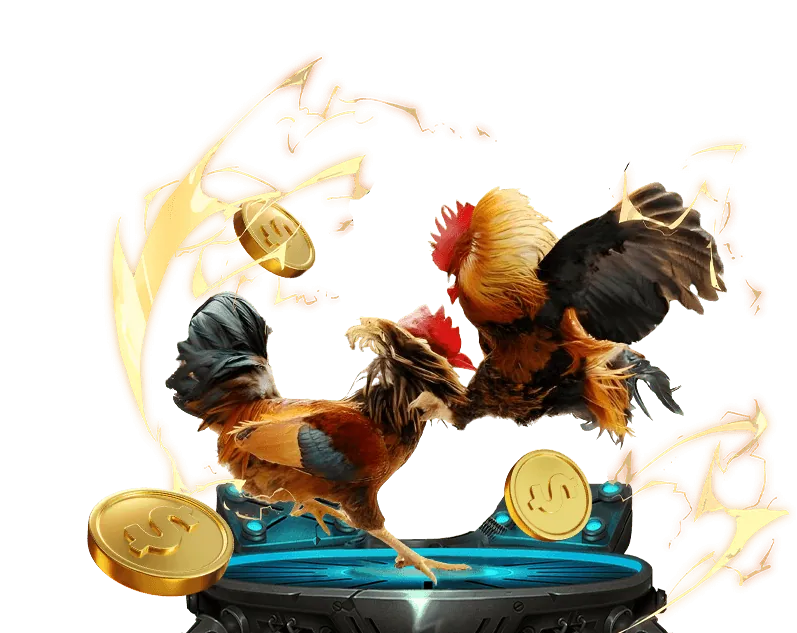 Dịch vụ hỗ trợ khách hàng 24/7